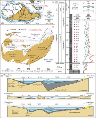 Paleoenvironmental characteristics and organic matter enrichment mechanisms of the upper Ordovician-lower Silurian organic-rich black shales in the Yangtze foreland basin, South China